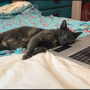 Meet your Posher, Brooke